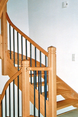 HS-001